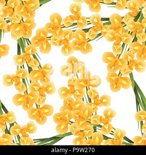 Orange Iris Flower on White Background. Vector Illustration. Stock Vector