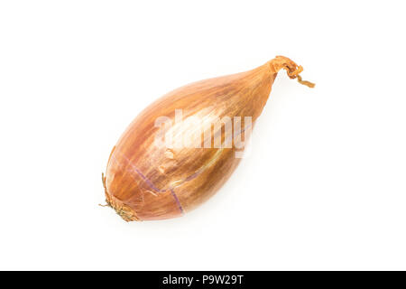 One unpeeled shallot flatlay isolated on white background Stock Photo