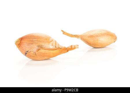 Two unpeeled shallots in a golden husk isolated on white background Stock Photo