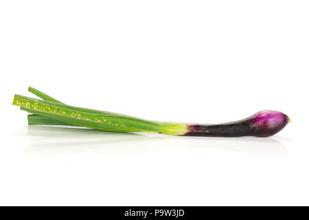 One whole fresh green spring onion red scallion variety isolated on white Stock Photo