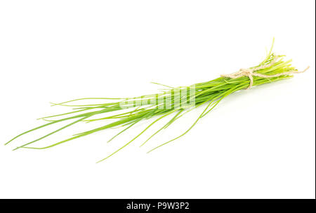 Fresh chives bunch tied by rope isolated on white background grass slender leaves Stock Photo