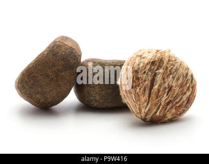 Peeled European chestnut compare with two Spanish edible in a husk isolated on white background raw fresh brown three nuts Stock Photo