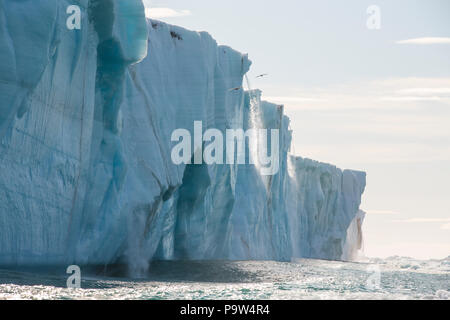 Brasvellbreen, Meltwater Waterfalls fall into the sea from Austfonna Ice Cap in Svalbard Stock Photo