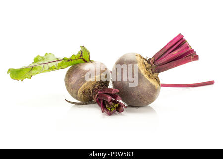 Red beet with cut tops two bulbs and green leaf isolated on white background Stock Photo