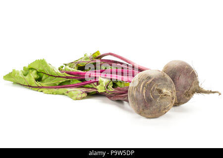 Red beet with greens isolated on white background two bulbs root with fresh young leaves Stock Photo