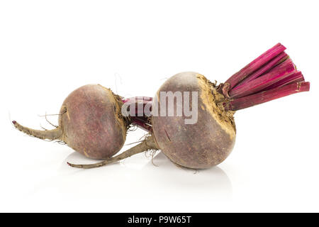 Red beet with cut tops two young bulbs isolated on white background Stock Photo