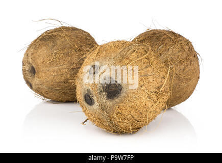 Three coconuts isolated on white background brown fibrous shell Stock Photo
