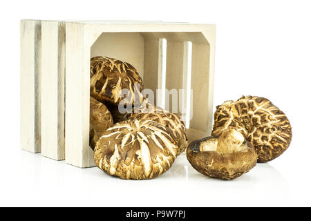 Fresh raw brown shiitake mushroom out a wooden box isolated on white Stock Photo
