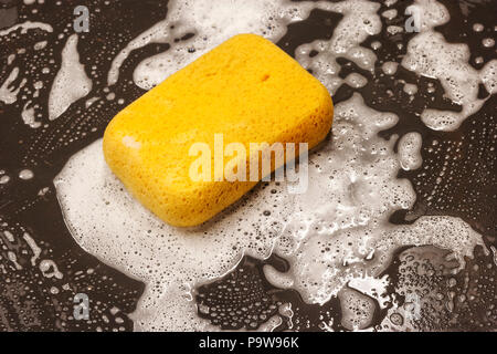 The life of a sponge sitting on a clean surface surrounded by soap suds Stock Photo