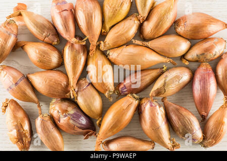 Shallots long onions flatlay isolated on grey wood background Stock Photo