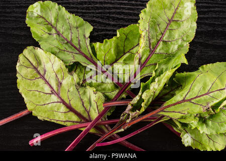 Fan of beet greens flatlay isolated on black wood background top view fresh young leaves Stock Photo