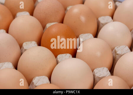 the eggs in the carton boxes laying, top view closeup Stock Photo