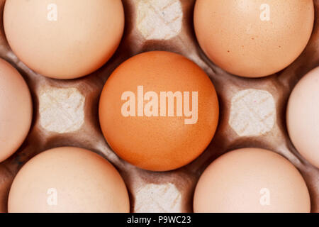 the eggs in the carton boxes laying, top view closeup Stock Photo