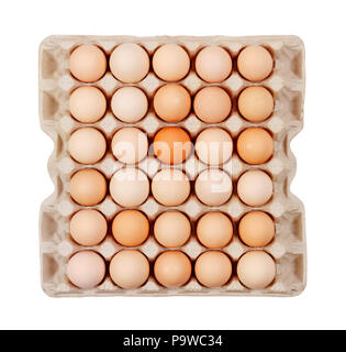the eggs in the carton boxes laying isolated on white background top view close up Stock Photo