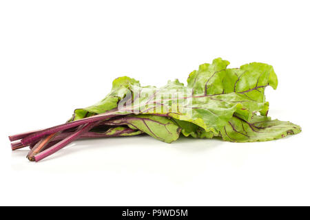 Beet greens bunch isolated on white background young fresh leaves Stock Photo