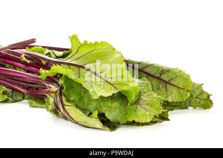 Beet greens bundle young fresh leaves isolated on white background Stock Photo