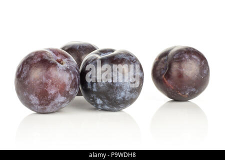 Four red blue plums isolated on white background round whole fresh juicy fruit Stock Photo