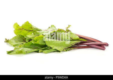 Beet greens bundle isolated on white background young fresh leaves Stock Photo