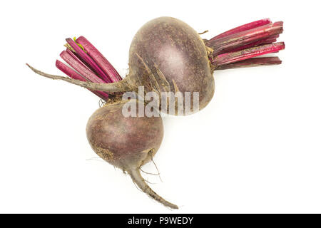 Two red beet young bulbs flatlay isolated on white background top view Stock Photo