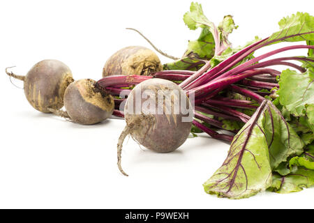Red beet bundle with fresh greens isolated on white background five bulbs root with leaves Stock Photo