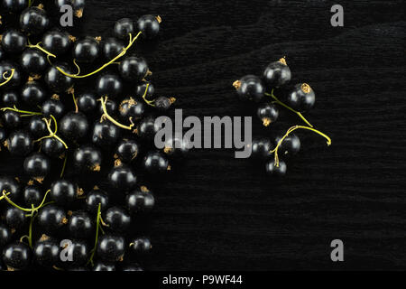 Lot of whole fresh black currant berry ben gairn variety one strig is separated flatlay on black wood Stock Photo