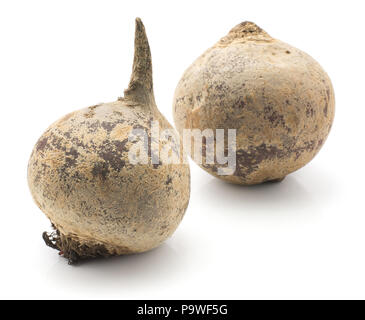 Beetroot (red beet) isolated on white background two raw bulbs Stock Photo
