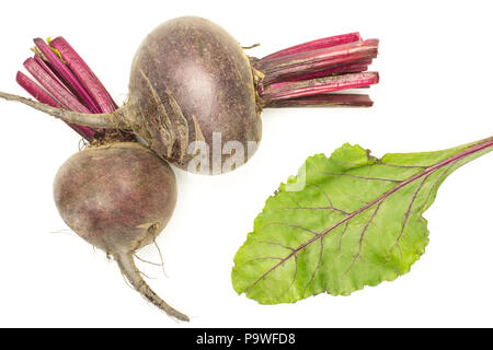 Two red beet young bulbs with one green leaf flatlay isolated on white background top view Stock Photo