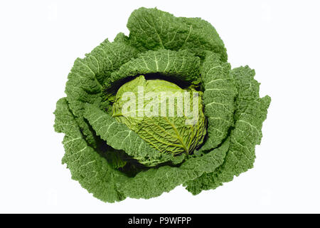 Fresh green savoy cabbage isolated on white background - High Angle View Stock Photo