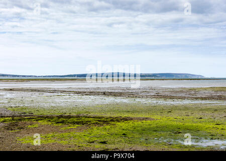 View from the Hampshire coast on a cloudy day in summer, England, UK Stock Photo