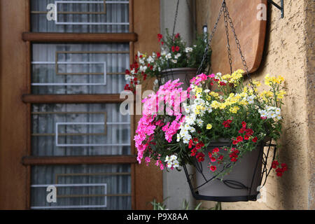 A hanging basket full with beautiful small flowers Stock Photo