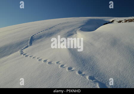 A trail of footprints across a deep snow drift on a hillside in the Scottish Highlands