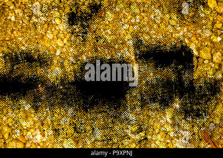 Ultra yellow Pebble surface, stone texture or rock backdrop, ground background. Stock Photo