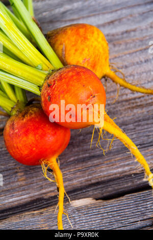 golden beets freshly harvested  raw on rustic wood background Stock Photo