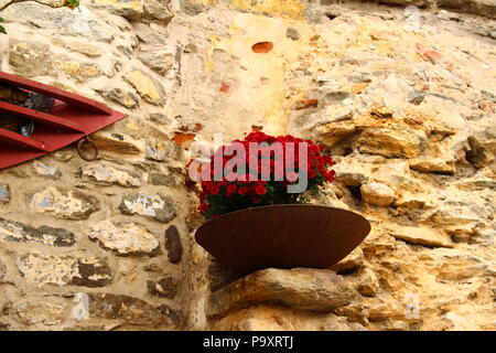 Red flowers in a pot hanging on the stone wall Stock Photo