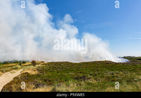 Controlled burning of old and dry heather at Morsum Cliff, Germany. Stock Photo