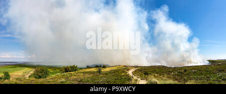 Controlled burning of old and dry heather at Morsum Cliff, Germany. Stock Photo