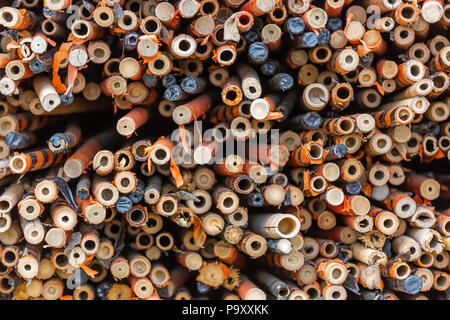 Gathered bamboo posts. Stock Photo