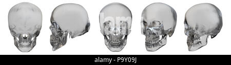 3d rendering illustration of skull Stock Photo