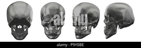 3d rendering illustration of skull Stock Photo