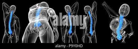 3d rendering medical illustration of the vertebral bone Stock Photo