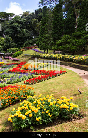 Landscape of Mae Fah Luang Garden, Chiang Rai, Thailand. Stock Photo