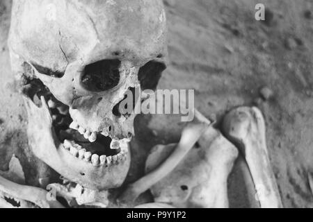 Skull and bones dug from a pit in a terrible cemetery with a dim light Stock Photo