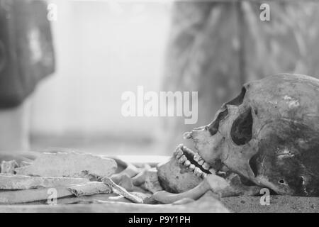 Skull and bones dug from a pit in a terrible cemetery with a dim light Stock Photo