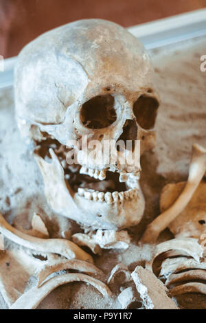 Skull and bones dug from a pit in a terrible cemetery with a dim light Stock Photo