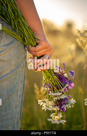 A bouquet of wildflowers in a woman's hand. Sunset. Stock Photo