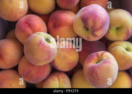 Close-up of box of ripe Okanagan peaches from local farm market Stock Photo