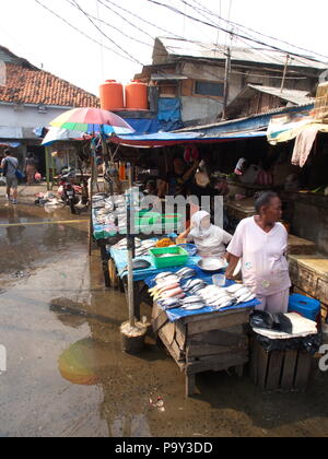 Life in Pasar Ikan and Muara Karang, a historic Jakarta fish market. Travel in Jakarta, the Capital of Indonesia. 4th October, 2012 Stock Photo