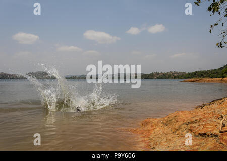 A big splash made by a massive tumble into the river. Stock Photo
