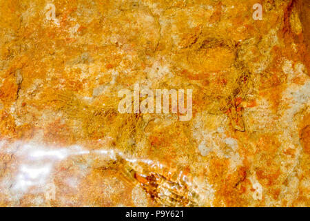 A riverbed of orange coloured sedimentary rock with beautiful patterns and reflection Stock Photo