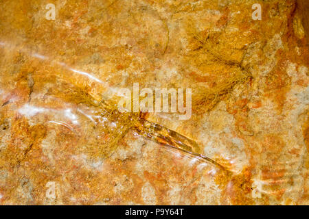 A riverbed of orange coloured sedimentary rock with beautiful patterns and reflection Stock Photo